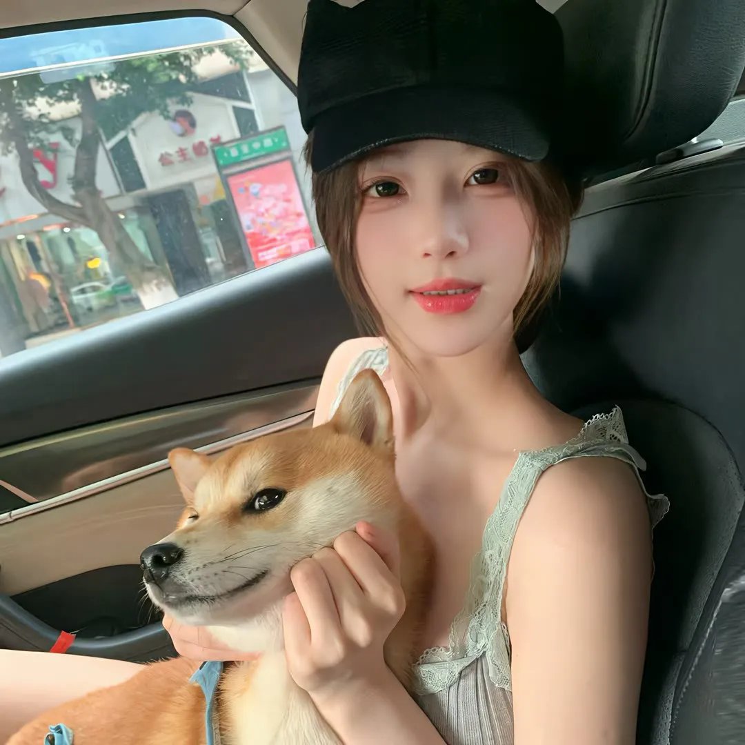 菜鸟先生